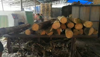 圓木多片鋸加工效率下降？多片鋸開機(jī)檢查3個(gè)地方